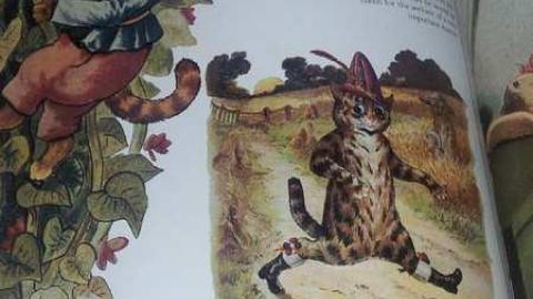 How is this left? - Abandoned-Cat-Lady-House331.jpg