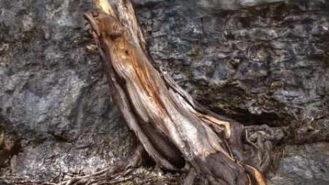 Wear Woll (F) - Harris-Woolen-Mill--Rockwood25.jpg