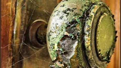 295 West Side Rd - 02 - IMG_0101g.jpg