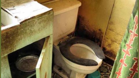 295 West Side Rd - 08 - IMG_0065c.jpg