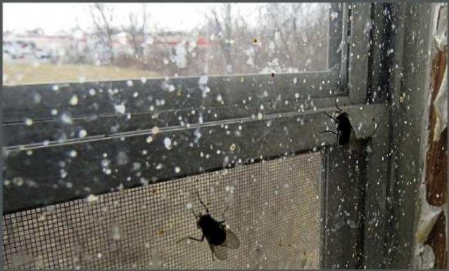 Never Underestimate Character! photo 3