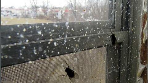 295 West Side Rd - 020 - IMG_0092X.jpg