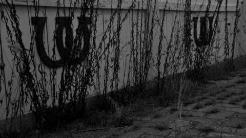 Raceway - Windsor-Raceway31.jpg