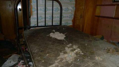 Help On The Farm - Help-On-The-Farm17.jpg