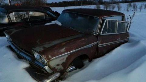 Help On The Farm photo 4