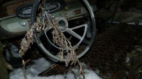 Help On The Farm - Help-On-The-Farm23.jpg