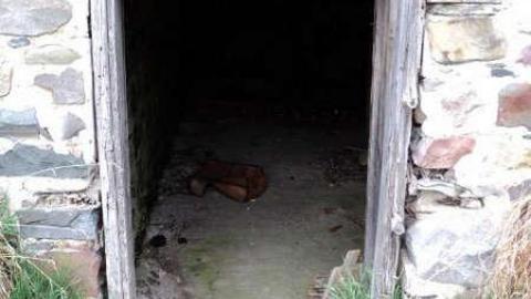 Gallery - Daigle-House52.jpg