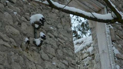 FEB 2013                       - Foundry-Building-Elora65.jpg