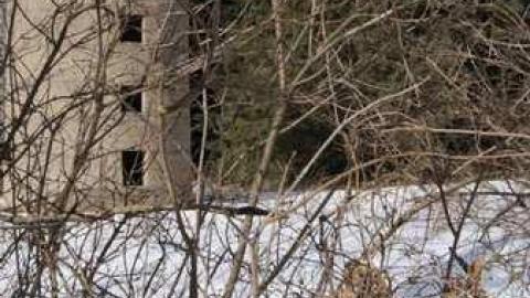 Dreamy - Highpoint-Of-The-Day211.jpg