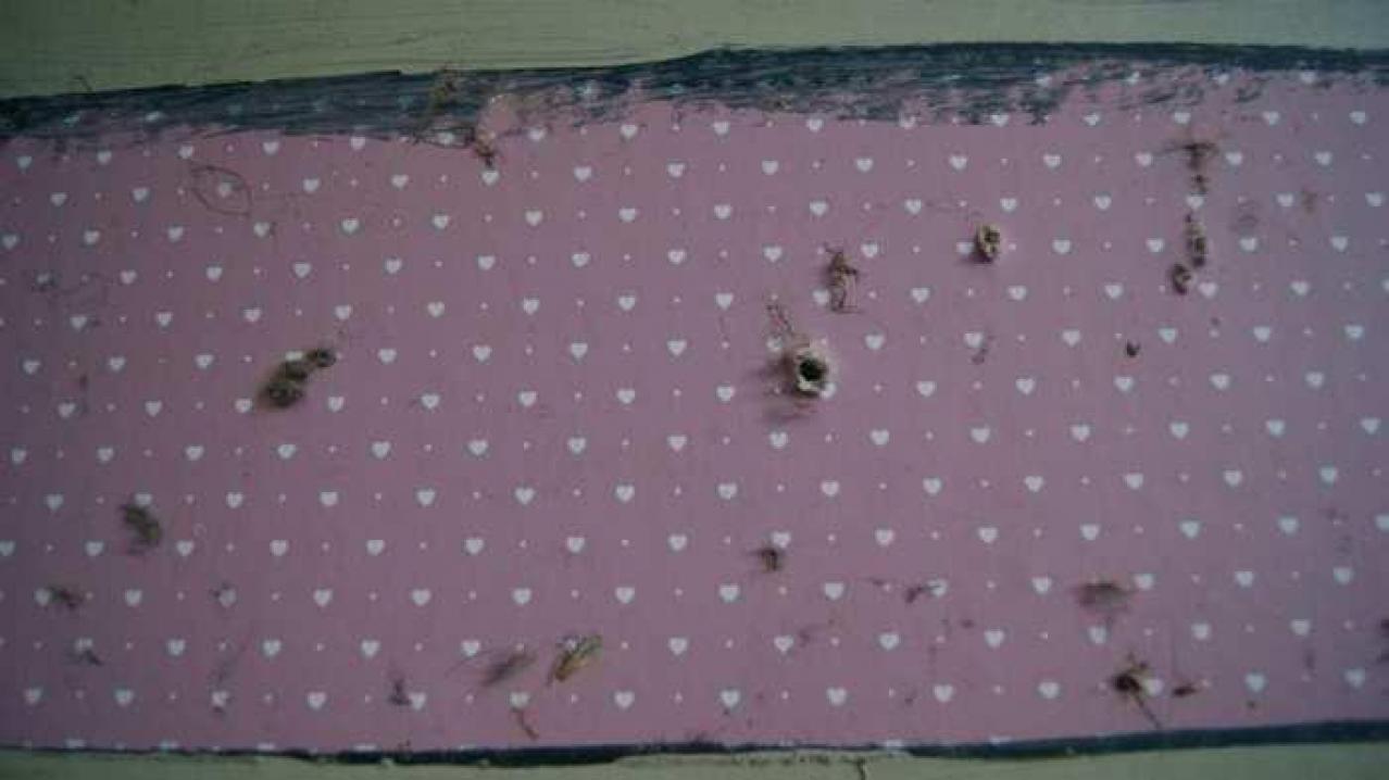 Dreamy - Highpoint-Of-The-Day189.jpg