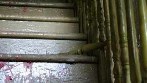 Dreamy - Highpoint-Of-The-Day198.jpg