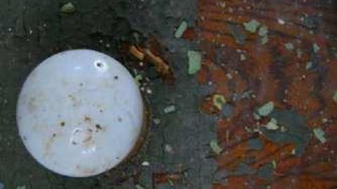 Dreamy - Highpoint-Of-The-Day180.jpg