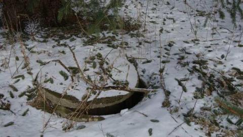 Dreamy - Highpoint-Of-The-Day208.jpg