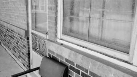 Angry Birds Motel - Waterdown-Motel53.jpg