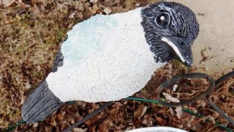 Angry Birds Motel - Waterdown-Motel55.jpg