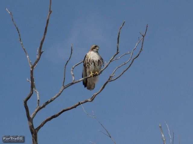 Waterdown Motel photo 4