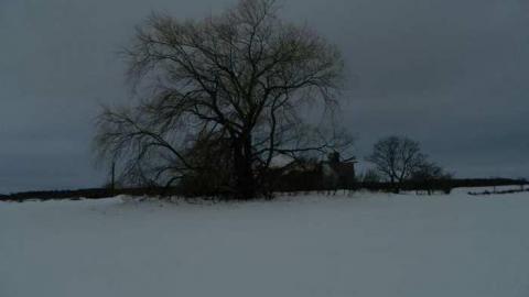 Collapsed Pioneer Log Home - Collapsed-Pioneer-Log-Home23.jpg