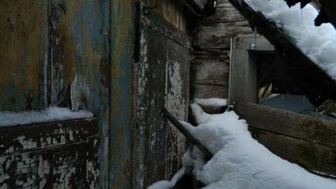 Collapsed Pioneer Log Home - Wellington North, Ontario