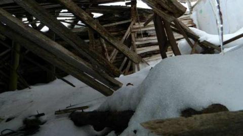 Collapsed Pioneer Log Home - Collapsed-Pioneer-Log-Home9.jpg