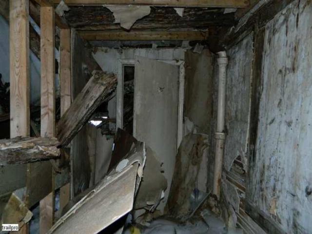 Collapsed Pioneer Log Home photo 3