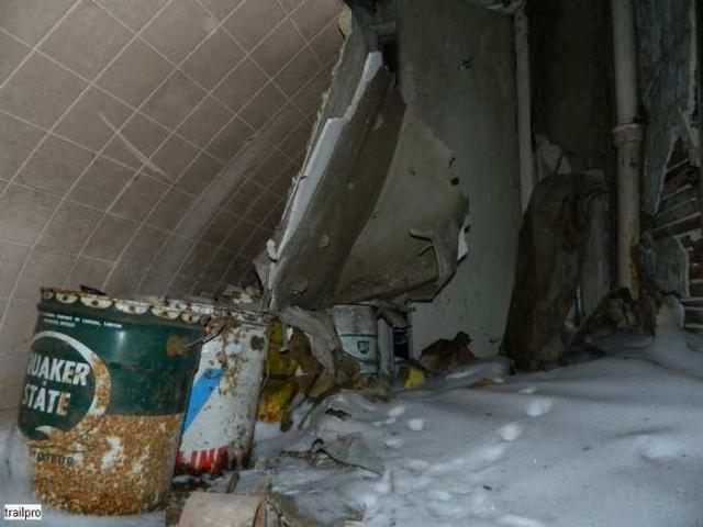 Collapsed Pioneer Log Home photo 4