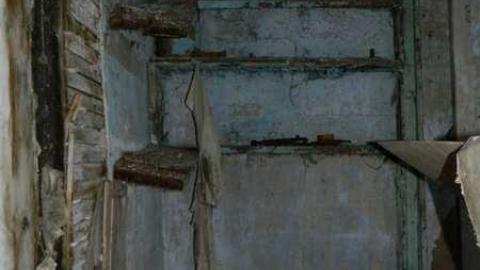 Collapsed Pioneer Log Home - Collapsed-Pioneer-Log-Home34.jpg