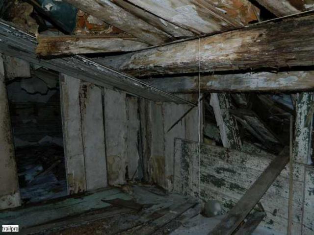 Collapsed Pioneer Log Home photo 2