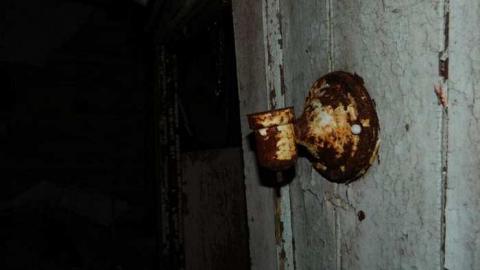 Collapsed Pioneer Log Home photo 5