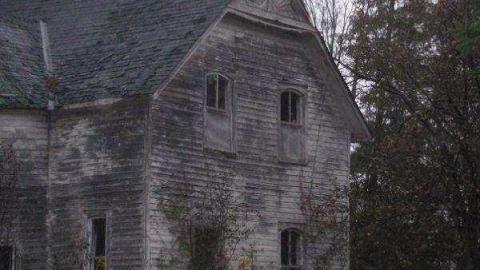 Gallery - 1074-Tennyson-Road6.jpg