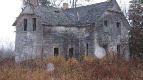 Gallery - 1074-Tennyson-Road7.jpg