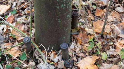 Photo from Nov 17, 2012