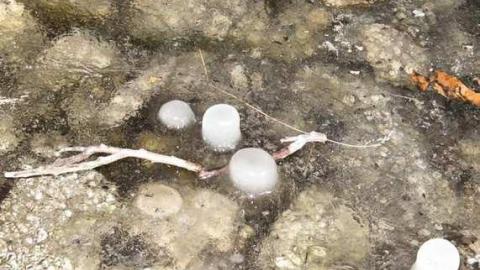 Nov 17, 2012 - Queenston-Quarry-Mine-Entry78.jpg