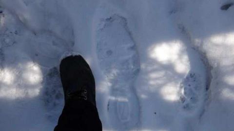 Gone Squatching cover photo