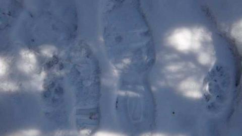 Gone Squatching - Squatch2.jpg