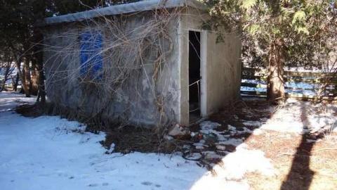 Gone Squatching - Squatch4.jpg