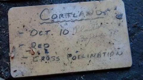 Gone Squatching - Squatch6.jpg