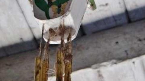 Gone Squatching - Squatch13.jpg