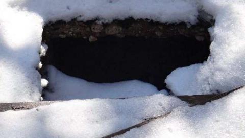 Gone Squatching - Squatch18.jpg