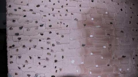 Photo from Mike & Ike