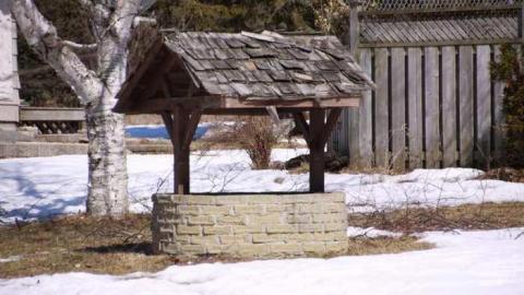 Come for a Swim - 2 it's fake but nice.jpg