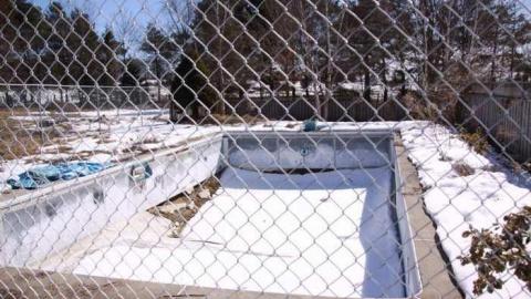 Come for a Swim - 4 want to go for a swim.jpg