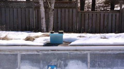 Come for a Swim - 5 want to dive in.jpg