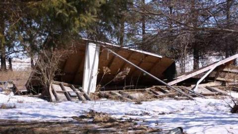 Come for a Swim - 6 good thing the door is there.jpg