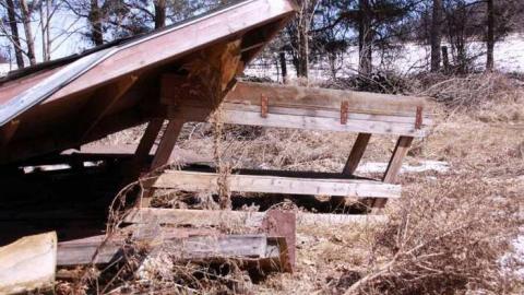 Come for a Swim - 11 everyone needs a  little support.jpg