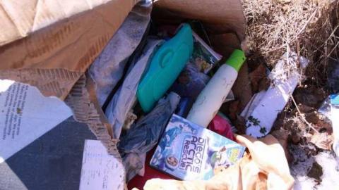 Come for a Swim - 13 soldiers left behind.jpg