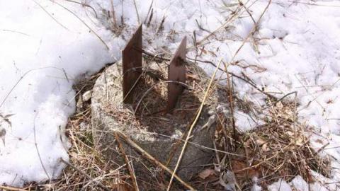 Harmony Road N. (opposite side) photo 3