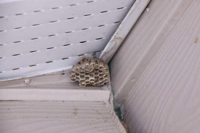 Harmony Road N. (opposite side) photo 4