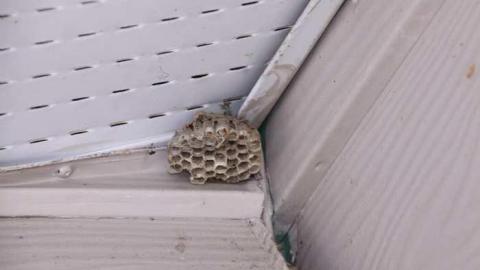 Harmony Road N. (opposite side) photo 4