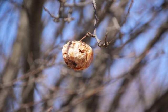 Harmony Road N. (opposite side) photo 5