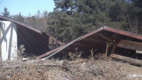 Photo from The lonely neighbour